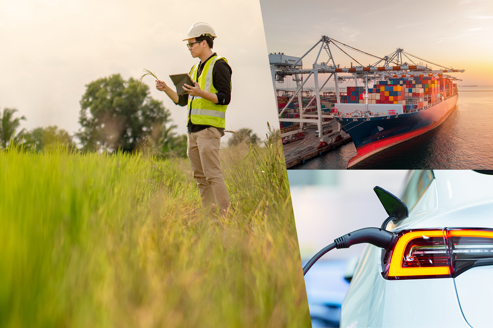 OCA Global, acreditada para emitir Informes de Ejecución del PERTE VEC I, AGRO I y NAVAL