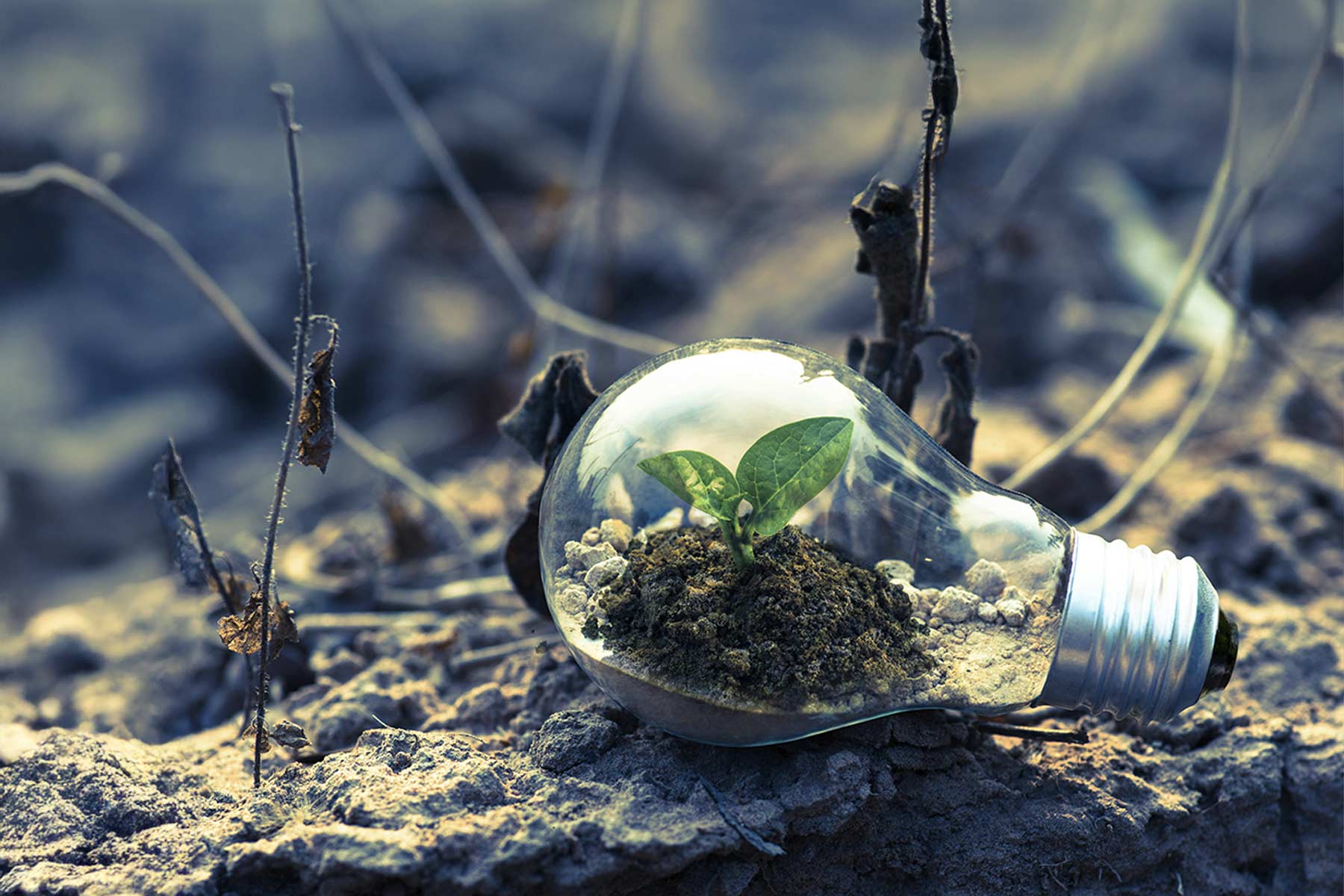 Si tu empresa aún no mide su huella de carbono, podrías estar perdiendo competitividad y eficiencia.