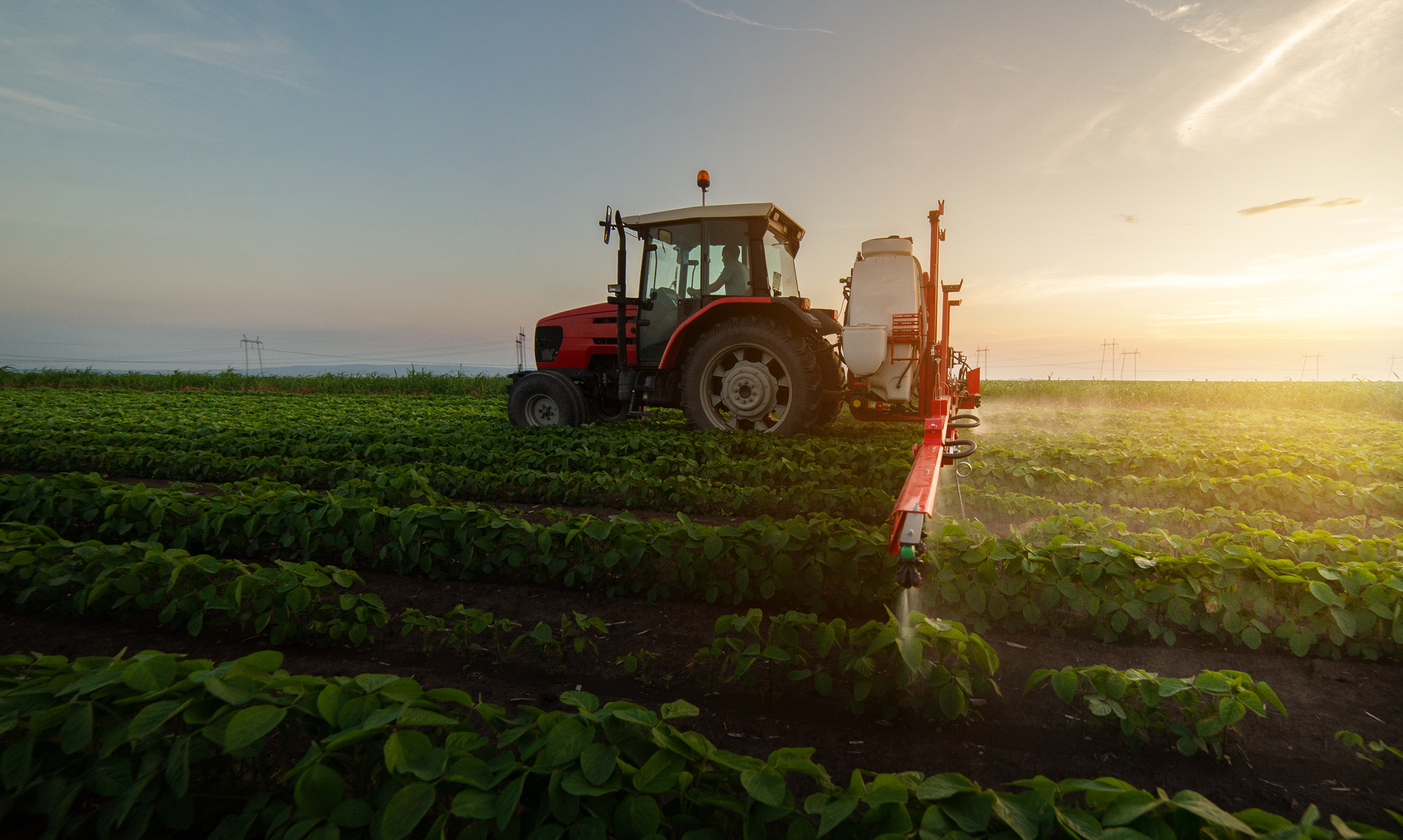 ¿Qué es la certificación de huella de carbono y cómo conseguirla?